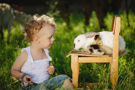 boy with yellow duckling and rabbit in summer villageの写真素材