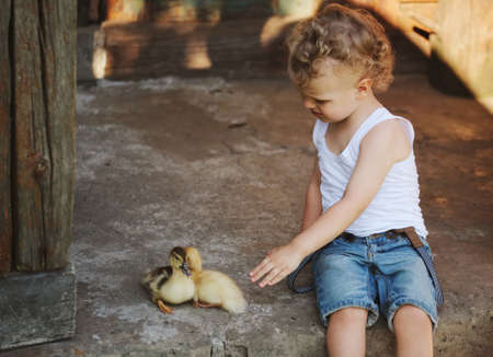 boy with little yellow duckling in summer villageの写真素材