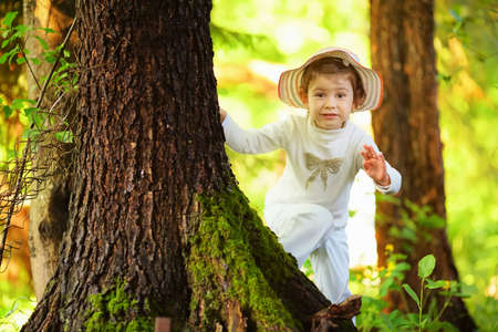 cute little girl in summer forestの写真素材