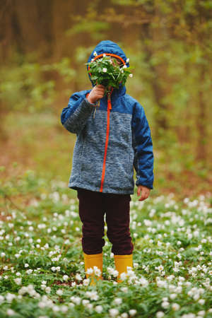 little boy in spring forest with many flowersの写真素材