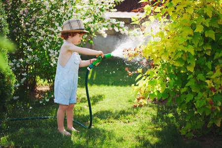 little boy watering the garden with hoseの写真素材
