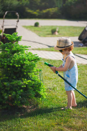 little boy watering the garden with hose