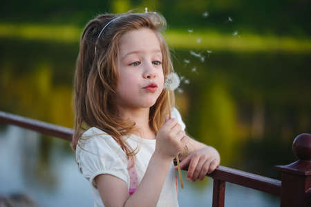 little girl with dandelion in parkの写真素材