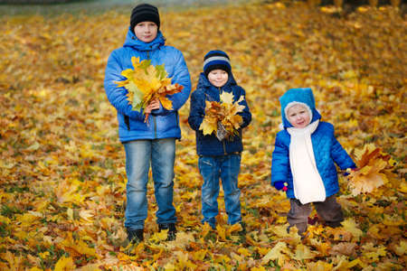 boys playing with maple leaves in parkの写真素材