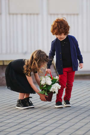 Little boy and girl with big lilac bouquetの写真素材