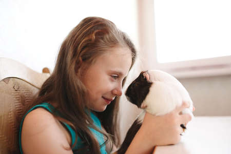 little beautiful girl with guinea pigの写真素材