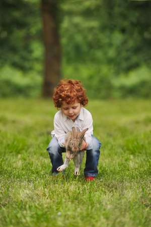 litle boy plays with rabbit in parkの写真素材