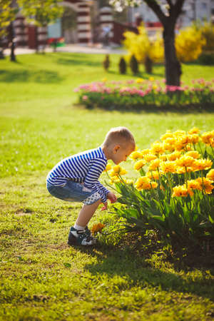 little boy with flowersの写真素材