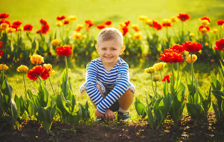 little boy with flowersの写真素材