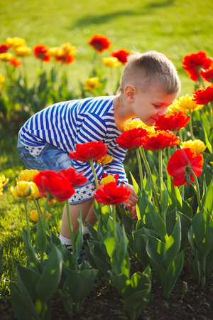 little boy with flowersの写真素材