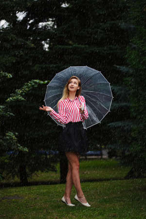 girl with transparent umbrella in rainy weatherの写真素材
