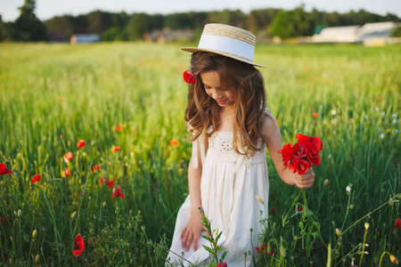 cute little girl in meadow with red poppiesの写真素材