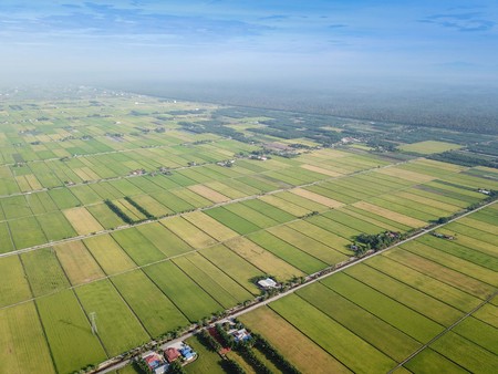 Selangor, Malaysia- November 15, 2017: Aerial view of paddy field at Sungai Sireh, Kuala Selangor.のeditorial素材