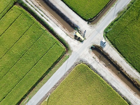 Selangor, Malaysia- November 15, 2017: Aerial view of paddy field at Sungai Sireh, Kuala Selangor.のeditorial素材