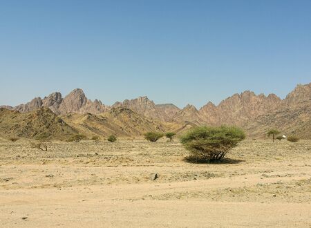 Landscape of desert view on extreme heat weather. Travel conceptの写真素材