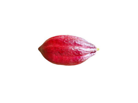 Cocoa pods organic chocolate on white background