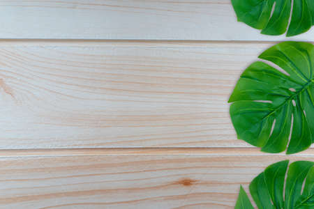 Monstera leaves summer on wooden background. Copy space concept and top viewの写真素材