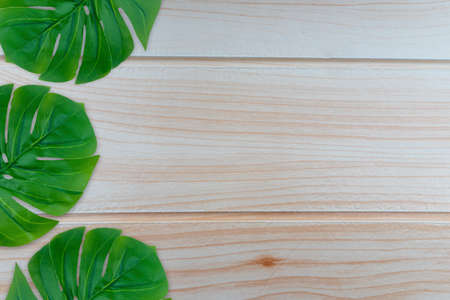 Monstera leaves summer on wooden background. Copy space concept and top viewの写真素材