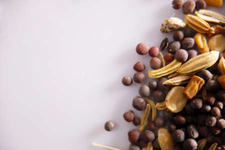 Spices and herbs closeup with selective focusの写真素材