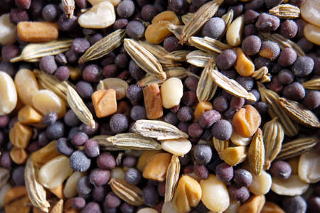Spices and herbs closeup with selective focusの写真素材