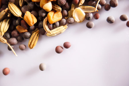 Spices and herbs closeup with selective focusの写真素材