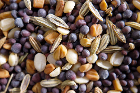 Spices and herbs closeup with selective focusの写真素材