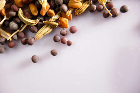 Spices and herbs closeup with selective focusの写真素材