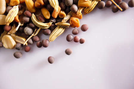 Spices and herbs closeup with selective focusの写真素材