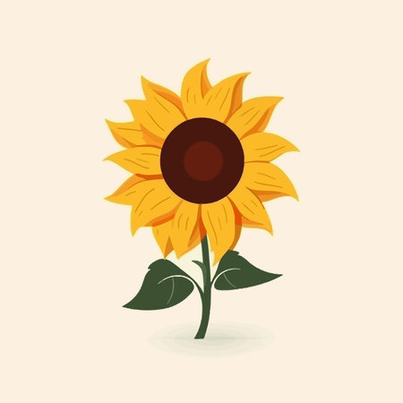 Yellow sunflower flower on a white background, design element, vector icon.のイラスト素材