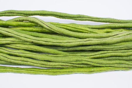 Yard long bean on white backgroundの写真素材
