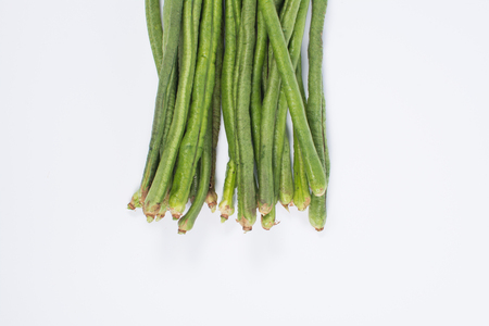 Yard long bean on white backgroundの写真素材