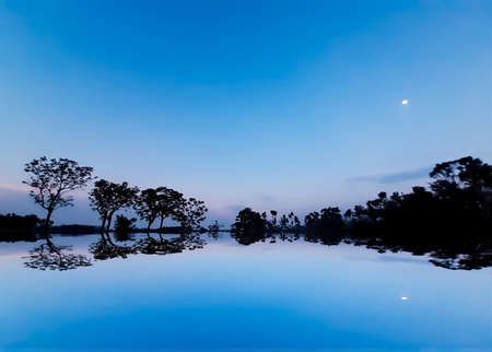 The rural environment of India during sunset. Moonlight, clear blue sky and reflection of green trees.の写真素材