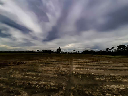 Agricultural land and cloudy skies in rural India at sunset. New vegetables have been planted in the green land.の写真素材