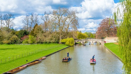 Cambridge, United Kingdom - June 17: People punting on river Cam on a bright sunny summer weekend, Cambridgeのeditorial素材
