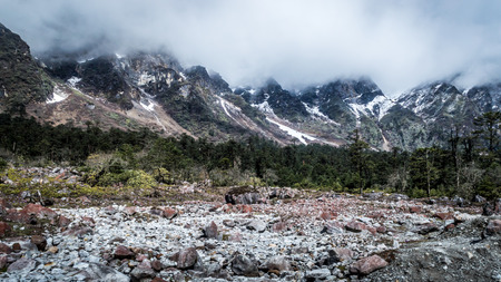 Yumthang valley, a popular tourist attraction and nature camp area on the eastern Himalayas, Sikkim,...