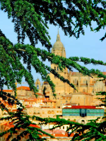 View of Salamanca through the treesの写真素材