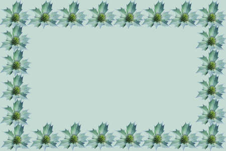 Holly leaf Christmas frame