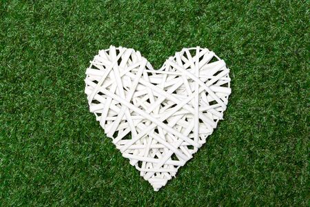 wattled white heart recumbent on grassの写真素材