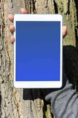 Woman's hand holding white tablet with blue blank display in front of tree trunkの写真素材