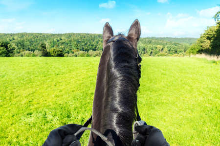 Rider on Horse with view on the natureの写真素材