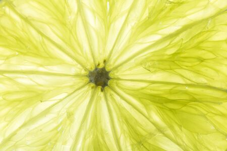 macro of green lime slice