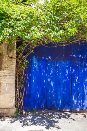 Rural blue old retro garage gate with green tree framing itの写真素材