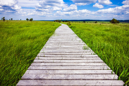 gorgeous wide view over gangplank at the national park high fens between eifel and ardennesの写真素材