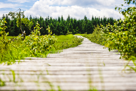 gorgeous wide view over gangplank at the national park high fens between eifel and ardennesの写真素材