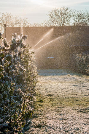 Layer of protective ice covering apple and fruit trees keeping them from freeze damage and forming iciclesの写真素材