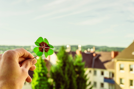 Closeup of a four leaf lucky clover held by a hand against skyline as templateの写真素材