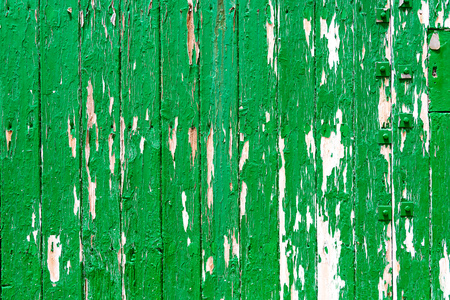 Weathered old worn wooden textured planks for wall or floor in green with rusty nails as backgroundの写真素材