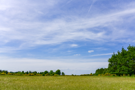 Hiking through wild meadow the natural reserve area in Eifel Germany with blue sky as backgroundの写真素材