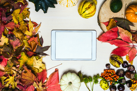 Moody autumn background picture with colorful leaves, pumpkins, chestnuts with white blank tablet with free space for message as templateの写真素材