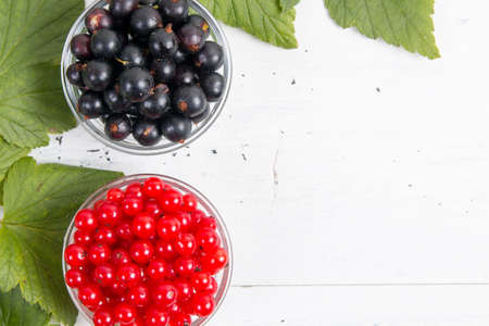 berries of black and red currant top viewの写真素材